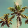 brightsunnyhome